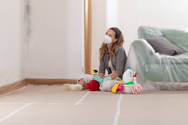 Reliable Mold Remediation contractor in Norwood, NJ by Cheap Mold Removal